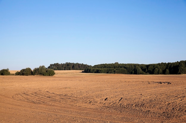 Campo agricolo arato