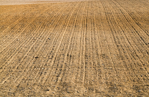 경작 된 비옥 한 토양은 좋은 농작물을 생산하기 위해 재배 된 농업 분야입니다.