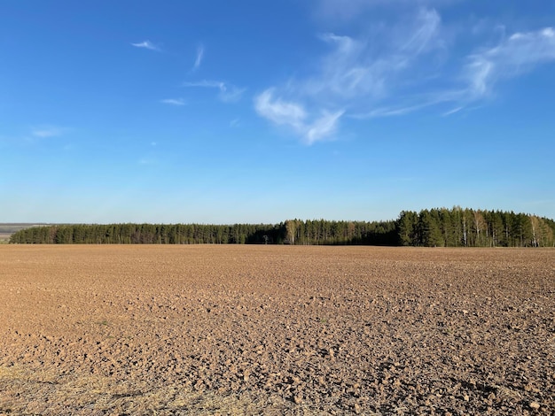 Plowed field and blue sky