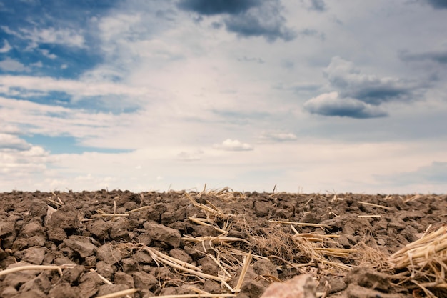 Plowed field and dramatic sky