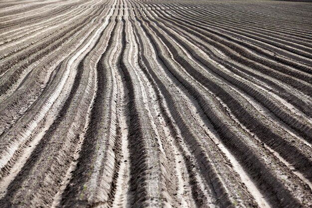 Plowed field furrows