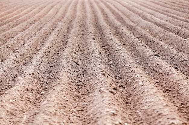 Plowed field furrows