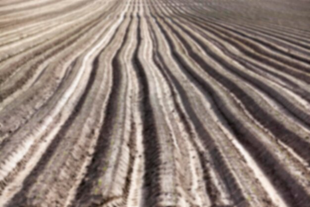 Plowed field furrows