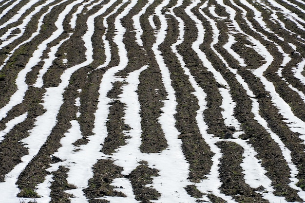 The plowed field is covered with snow and ice The threat of crop destruction and starvation of the population