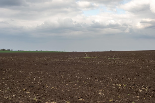 Plowed field landscape minimalistic against the backdrop of the cloudy sky Spring 2021