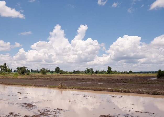 Campo arato pronto per la semina e il cielo blu