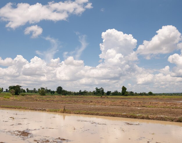 Plowed field Ready for planting