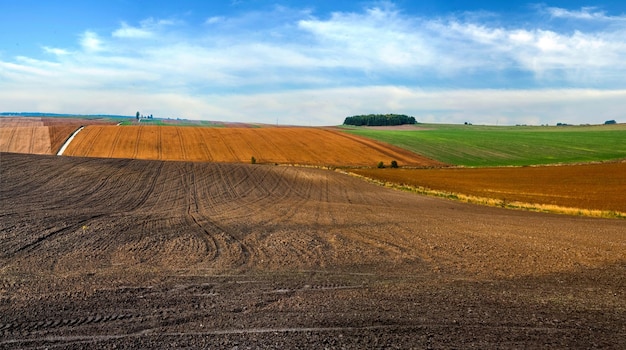 Campo arato e campo marrone di soia in cereali autunnali e invernali in lontananza, patchwork e linee di campo, geometria