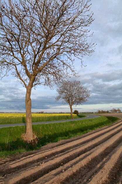 plowed field in spring farmland