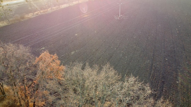 Plowed field and trees without leaves lit sunlight on sunny autumn spring day tilled land field cher