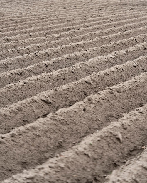 Plowed field