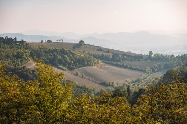 晴れた暖かい夏の日に、イタリアのボローニャ市郊外の木々の間に耕された緑の野原