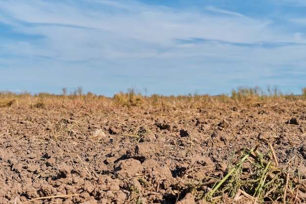 Plowed land preparation for presowing work in the agricultural season on the ground Closeup space for text