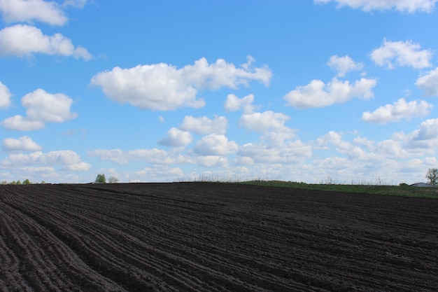 plowed land ready for planting potato in the village in the spring