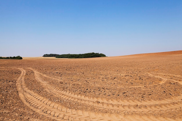 Plowed land summer