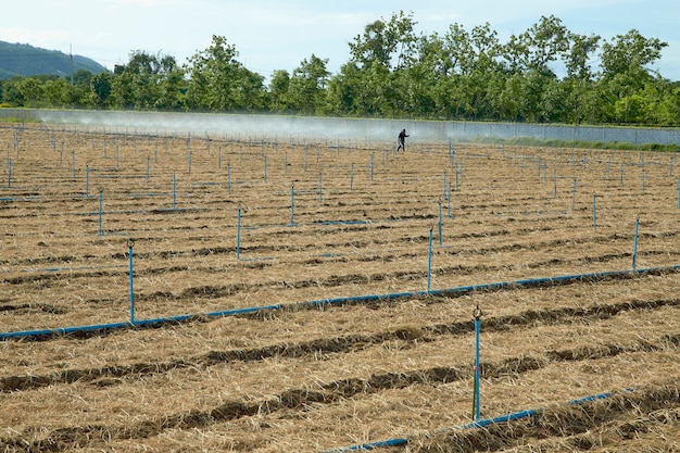 Plowed soil in vegetable plots with sprinkler systems and water pipes