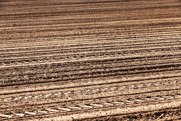 Foto il terreno arato su cui coltivare cereali, un campo di terreno fertile di alta qualità, che è stato fertilizzato ed è possibile ottenere un grande raccolto