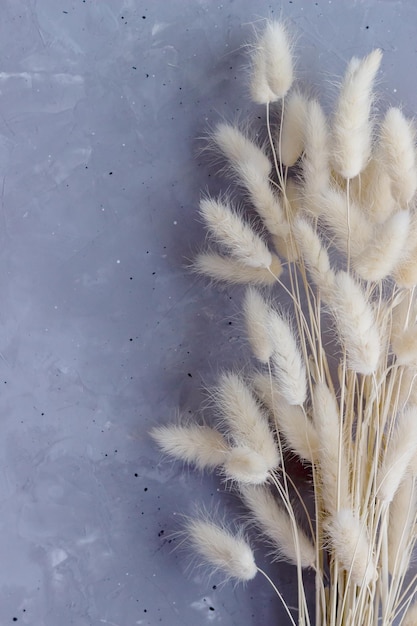 Pluizige gedroogde bloemen boeket op de betonnen ondergrond