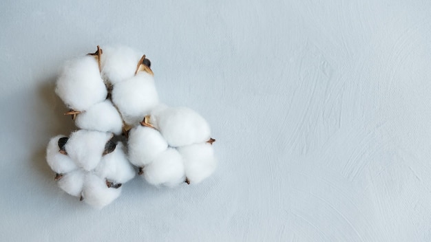 Pluizige wattenbolletjes op grijze canvasachtergrond