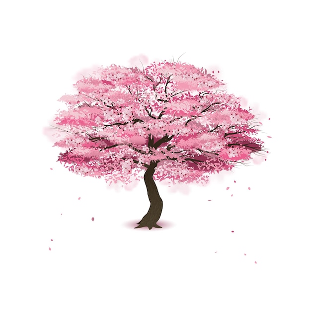 Plum Blossom of Dragon Year