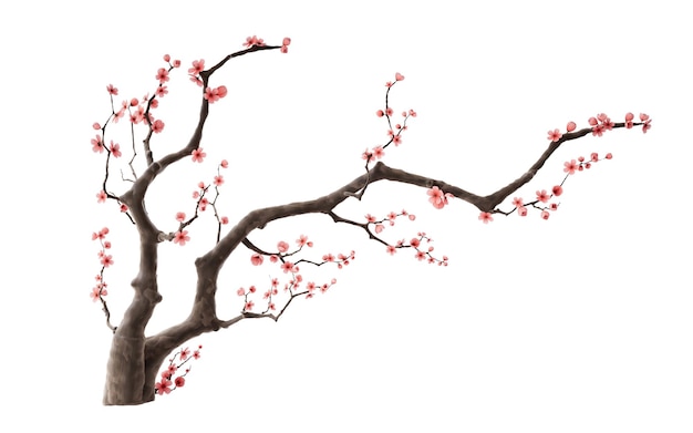 plum blossom with chinese ink painting style 3d rendering digital drawing