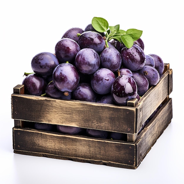 Plum Crate