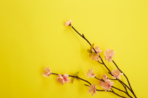 Plum Flowers on yellow background