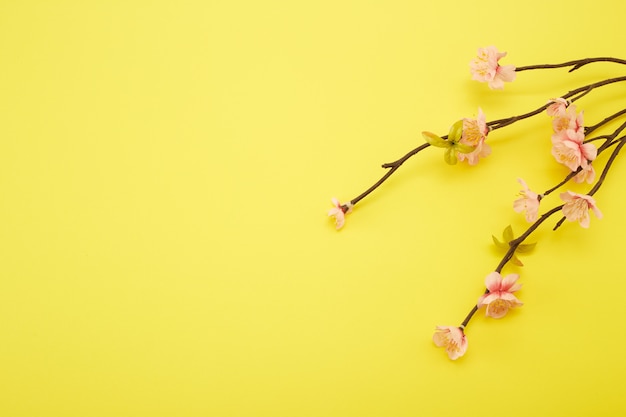 黄色の背景に梅の花