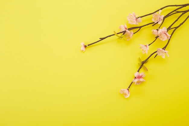 Plum Flowers on yellow background