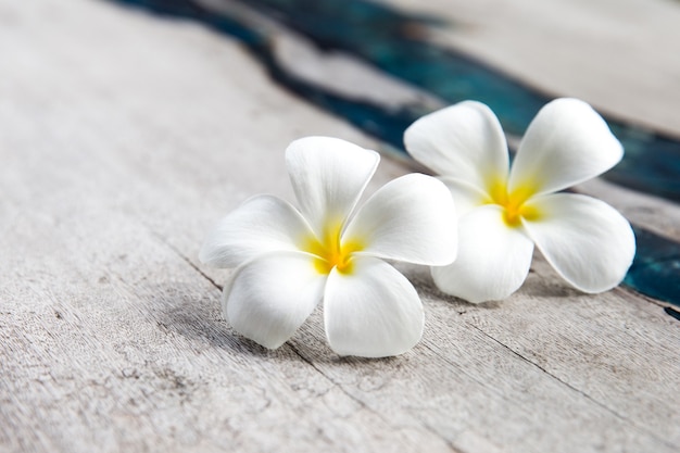 Plumeria bloemen op houten gestructureerde achtergrond met blauw glas. Plaats voor tekst.