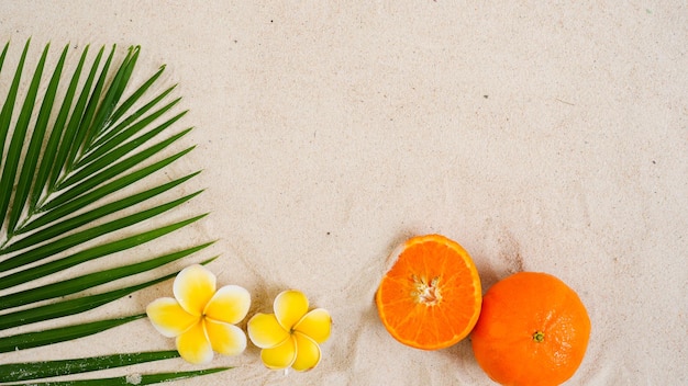 Plumeria en sinaasappel op palmbladachtergrond