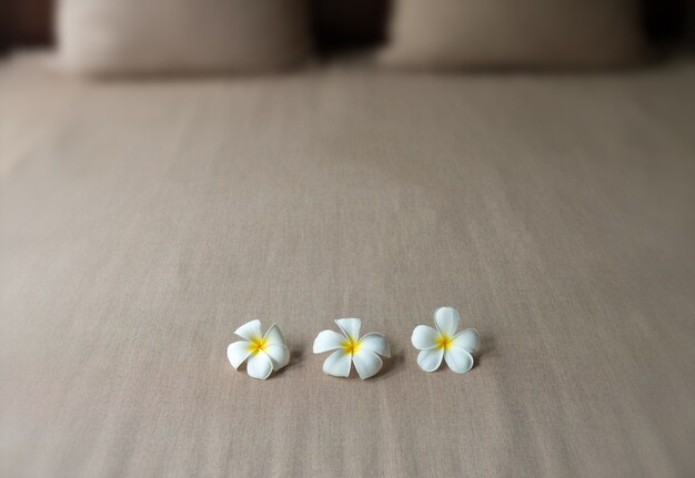 Plumeria flower on bedroom