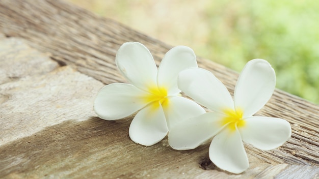 나무 테이블 배경에 Plumeria 꽃입니다.