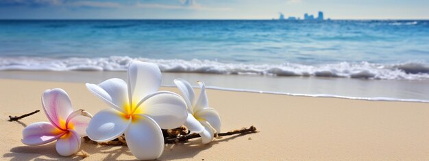 해변에 있는 플루메리아 꽃, 모래에 있는 선택적 초점, 생성적 인공지능
