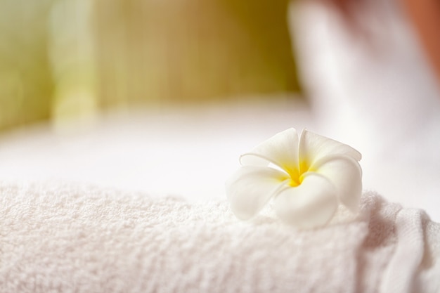 Plumeria Frangipani flower with towel  on blur background