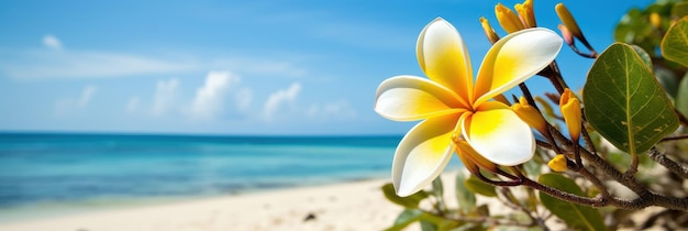 Plumeria Frangipani on tropical sea and beach blue sky background Summer festive time Generative AI