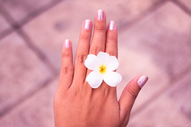 Photo plumeria in woman hand.