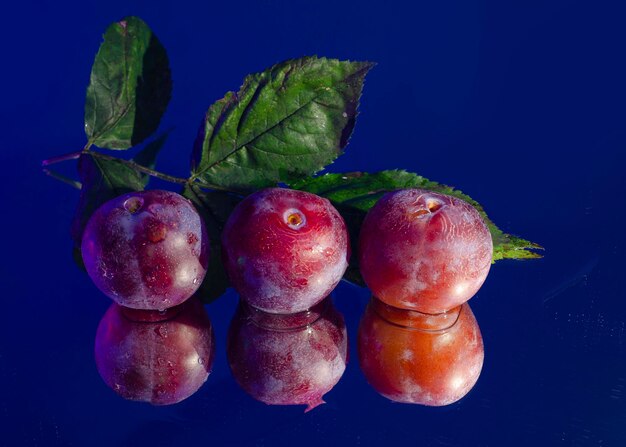 Photo plums on blue background