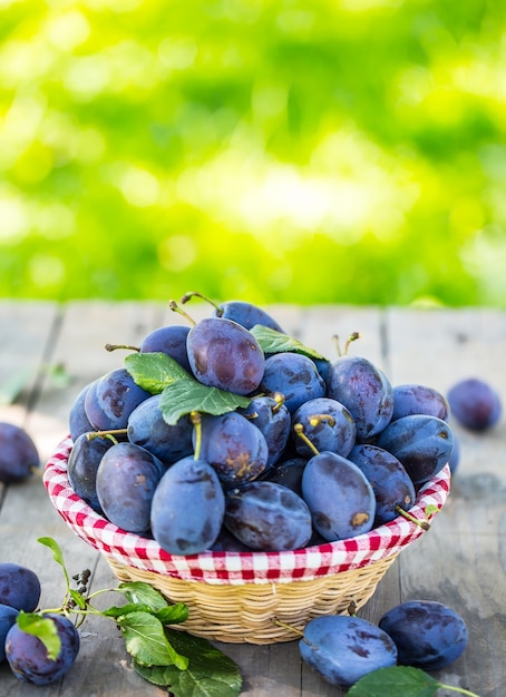 Plums. Blue and violet plums in the garden on wooden table.