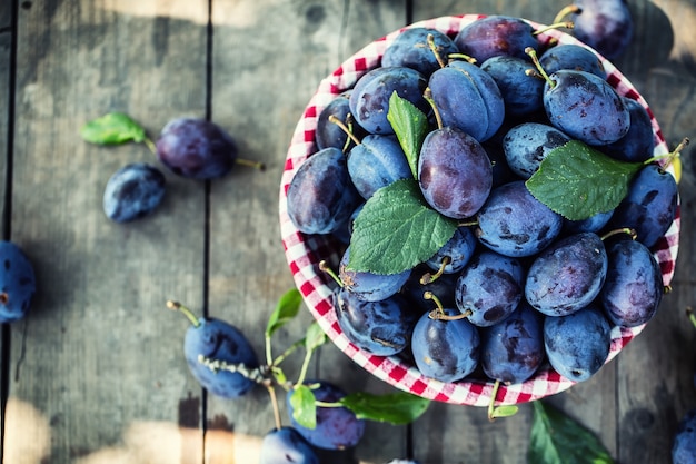 Plums. Blue and violet plums in the garden on wooden table.