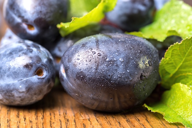 Plums. Fresh ripe washed plums with leaves close-up.