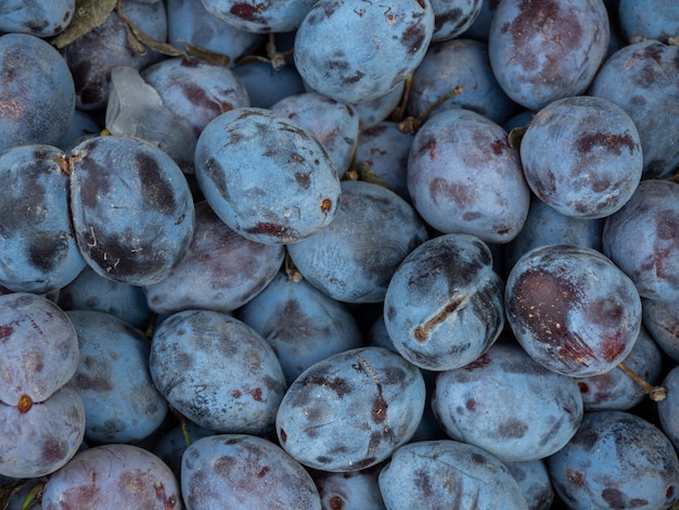 plums on the market close-up