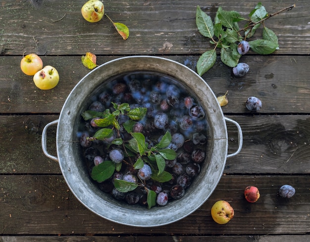 Plums soaking in water in a small tub