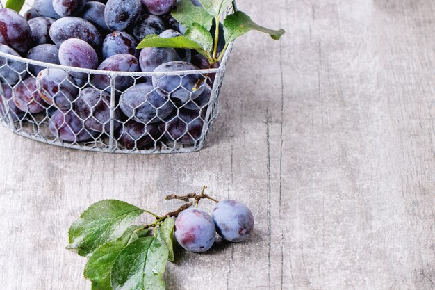 Plums with leaves