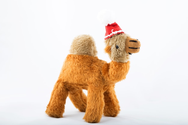 Plush camel in Santa Claus hat on a white background. Closeup