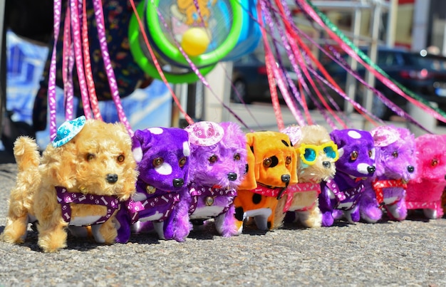 Photo plush colored dogs in the market