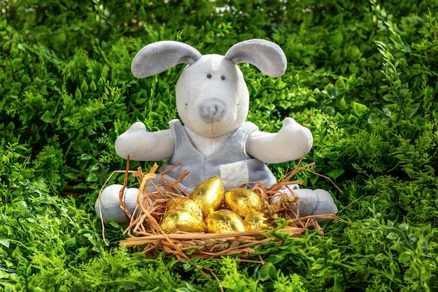 Фото Плюшевый кролик в корзине с золотыми яйцами в природе