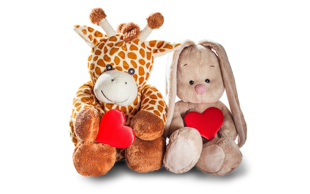 Plush toy giraffe and Bunny rabbit hold a red heart isolated on white background Colorful plush toy