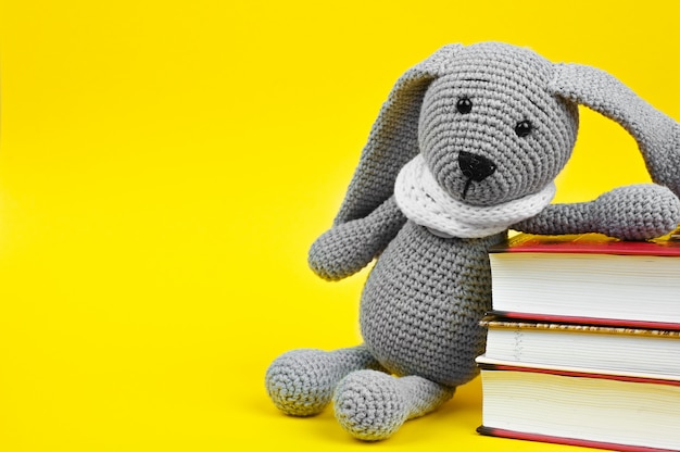 Plush toy with books closeup