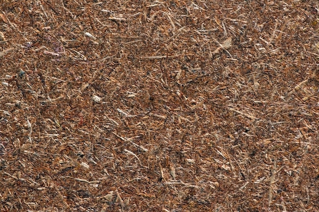 Photo plywood, pressed wooden panel,  particle board texture background, in shallow focus